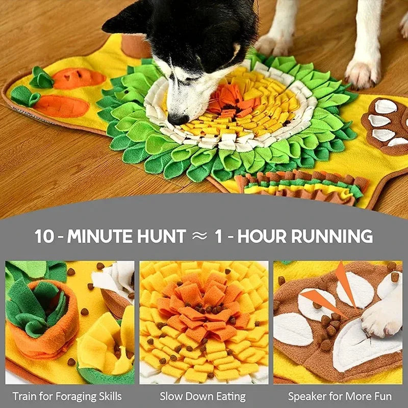 Tapis Stimuli'Chien