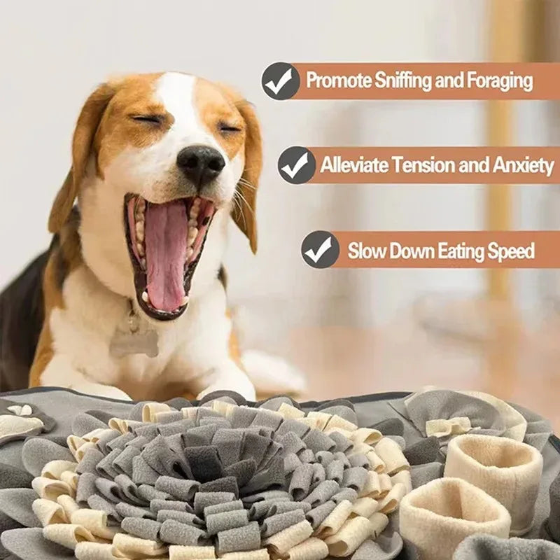 Tapis Stimuli'Chien