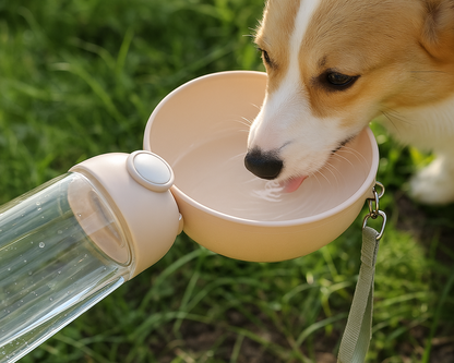 Bouteille d’Eau Portable avec Gamelle pour Animaux