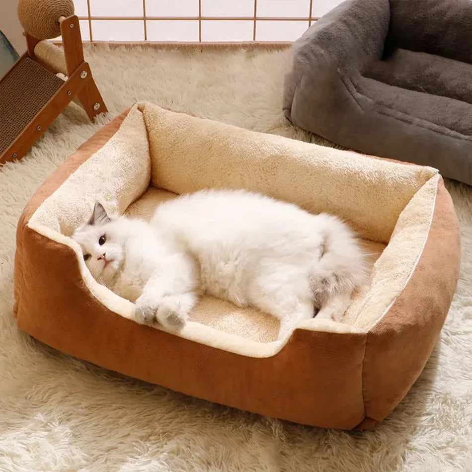 CosyCat