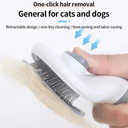Brosse Dépoil'Express